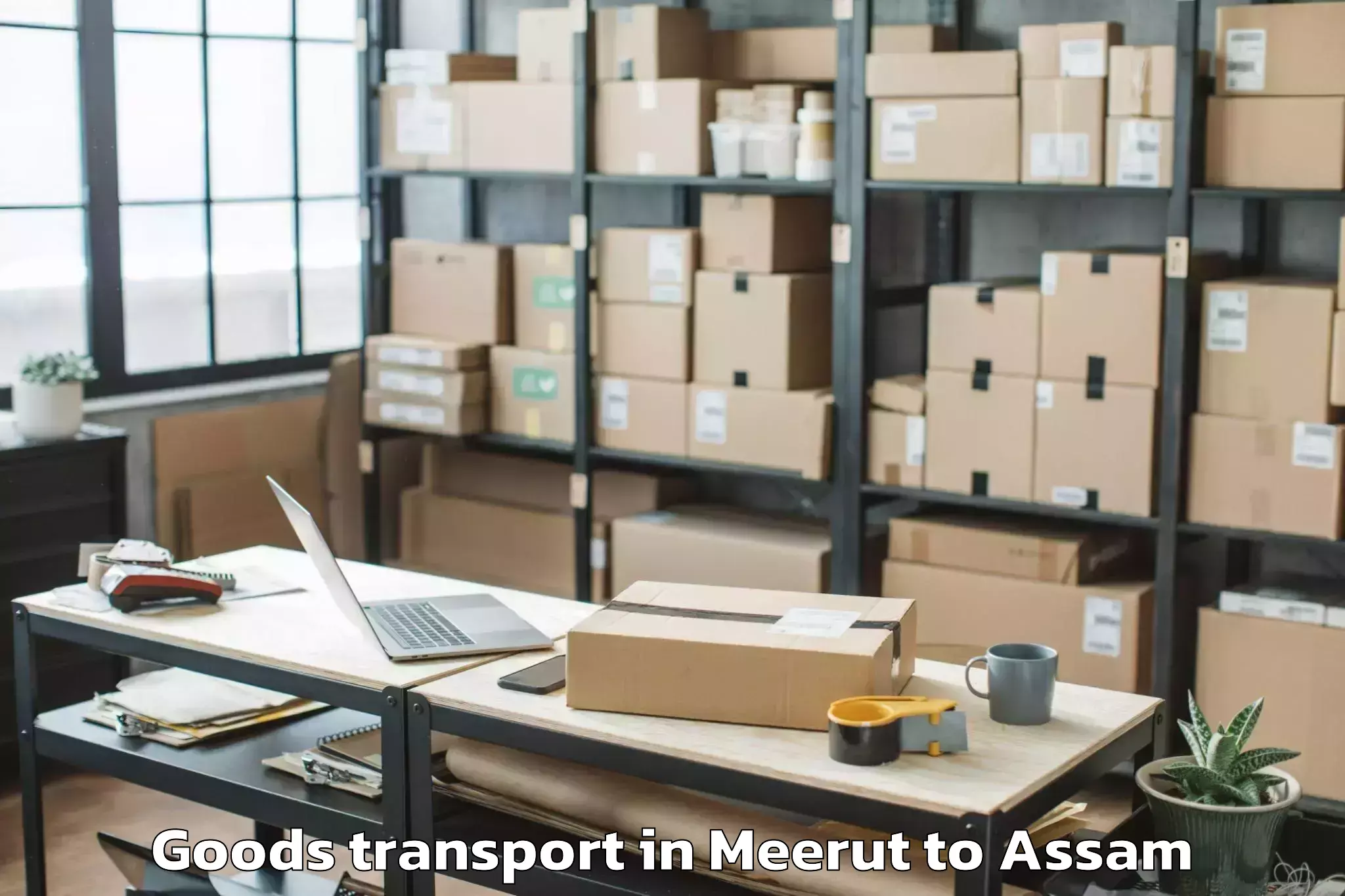 Top Meerut to Padmabil Goods Transport Available